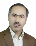 مجتبی پورسلیمی