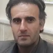 سعید ملکی