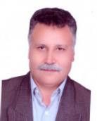 سید محمد حسینی