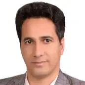 سید مرتضی هاتفی