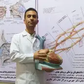 فردین لطفی