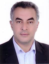 محمد حسنی